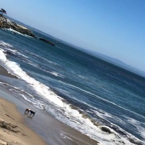 Meet your Posher, Markos